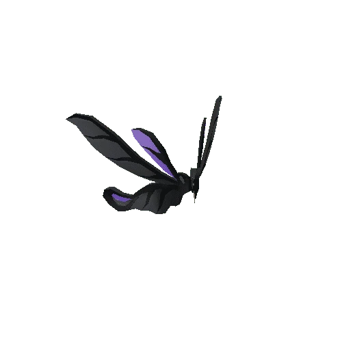 Wings 03 Black